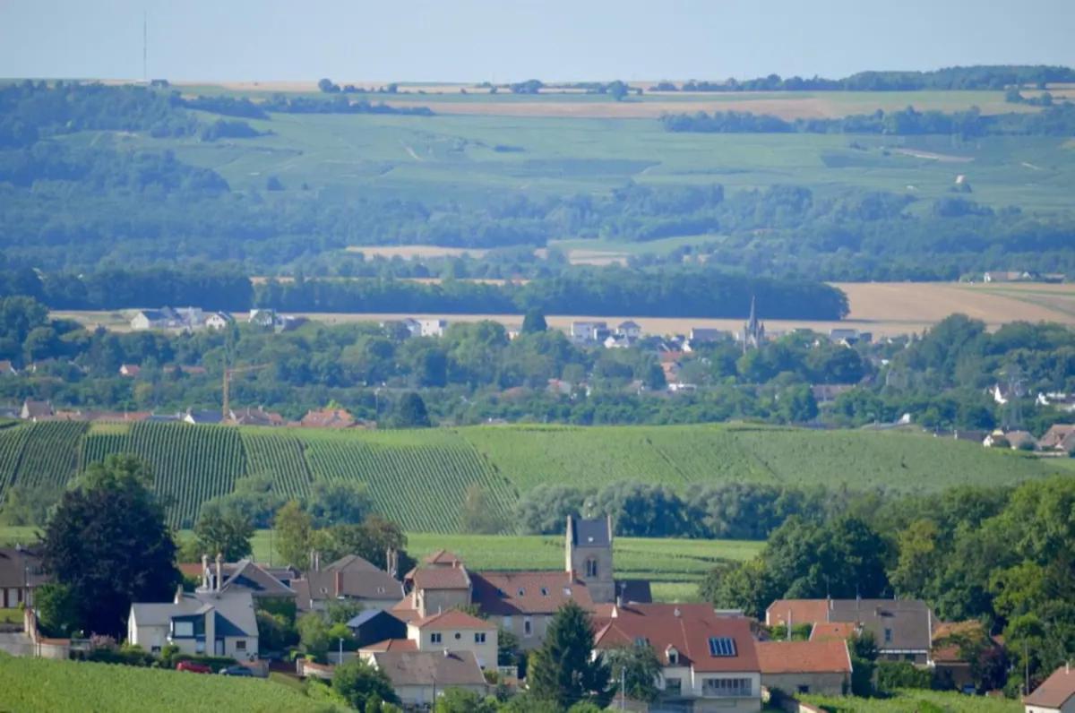 Agreable Maison Petit Jardin A 7 Minutes De Reims Pargny-les-Reims Zewnętrze zdjęcie