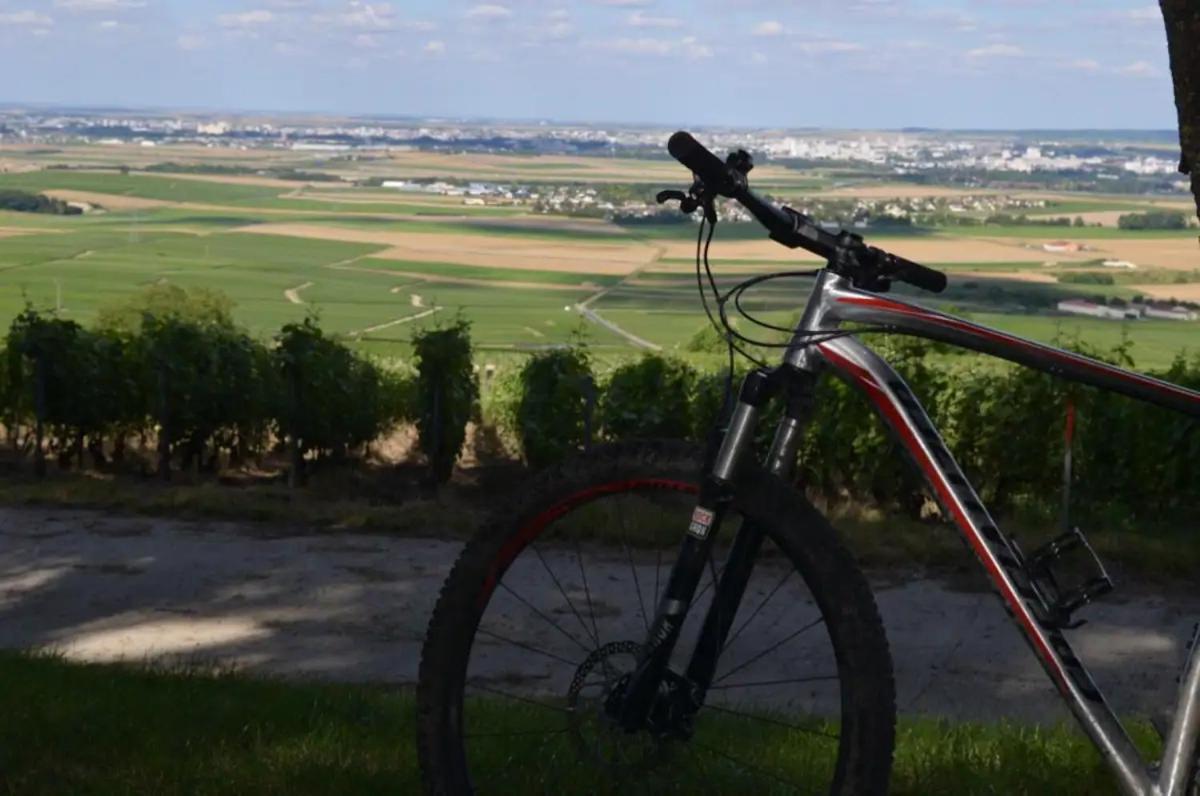 Agreable Maison Petit Jardin A 7 Minutes De Reims Pargny-les-Reims Zewnętrze zdjęcie